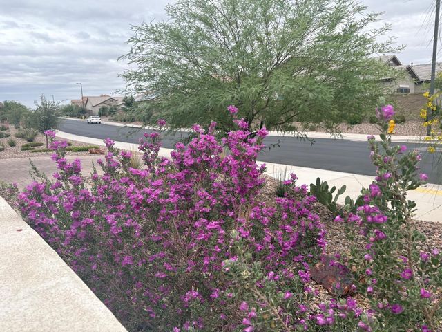 2525 N Riverside Drive, Florence, AZ 85132