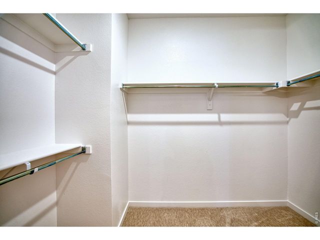 1456 Mullers Dr, Windsor, CO 80550