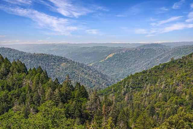 2240 Slate Ct, Greenwood, CA 95635