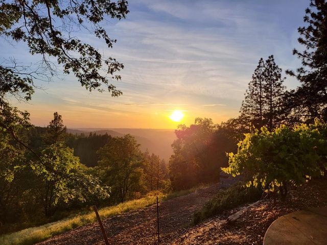 2240 Slate Ct, Greenwood, CA 95635
