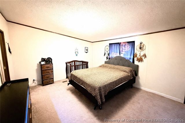 466 Ralph Hunt Boulevard, Orrum, NC 28369