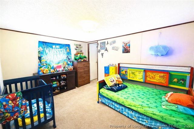 466 Ralph Hunt Boulevard, Orrum, NC 28369