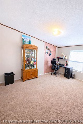 466 Ralph Hunt Boulevard, Orrum, NC 28369