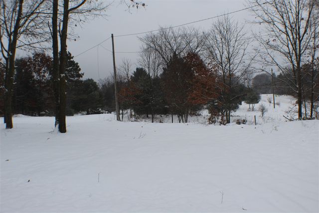 17790 Monroe Road, Morley, MI 49336