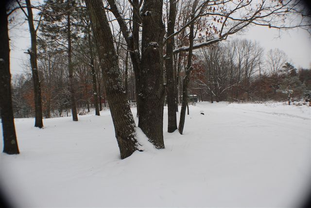 17790 Monroe Road, Morley, MI 49336