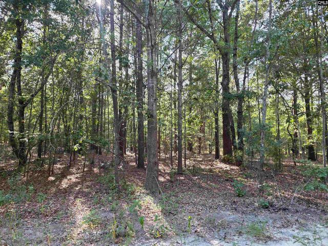 518 Whetstone Road, Swansea, SC 29160
