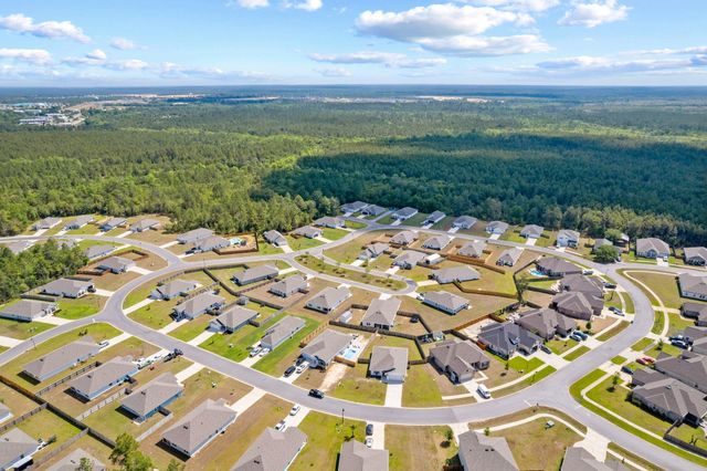 439 Sweet Blossom, Freeport, FL 32439