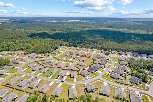 439 Sweet Blossom, Freeport, FL 32439