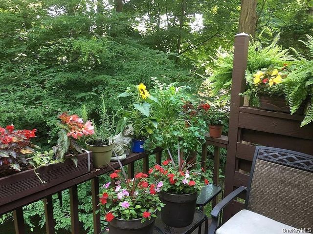 249 Mill River Road, Chappaqua, NY 10514