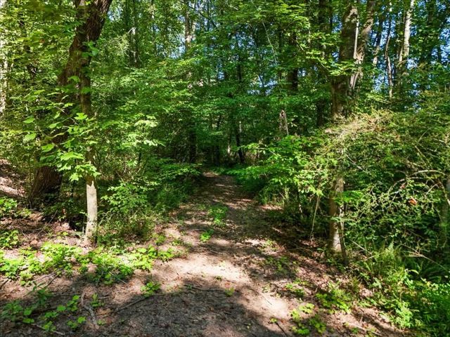 0 Lineberry Lane, Cumming, GA 30028