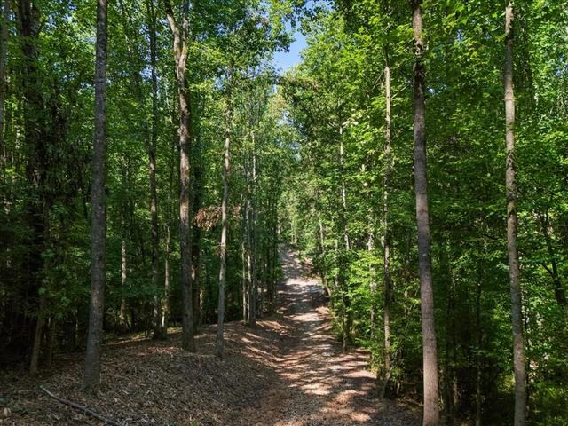 0 Lineberry Lane, Cumming, GA 30028