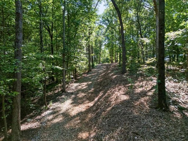 0 Lineberry Lane, Cumming, GA 30028