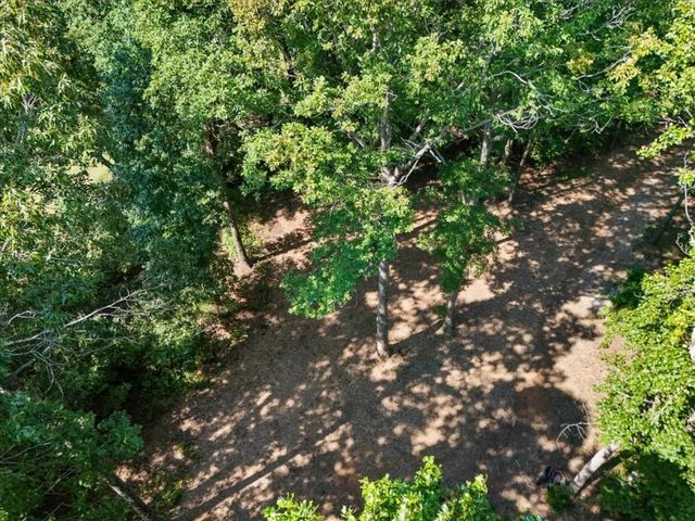 0 Lineberry Lane, Cumming, GA 30028