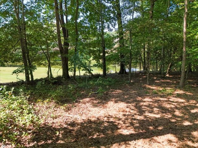 0 Lineberry Lane, Cumming, GA 30028