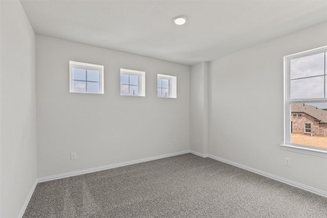 21722 Bluestem Fields Drive, Waller, TX 77484