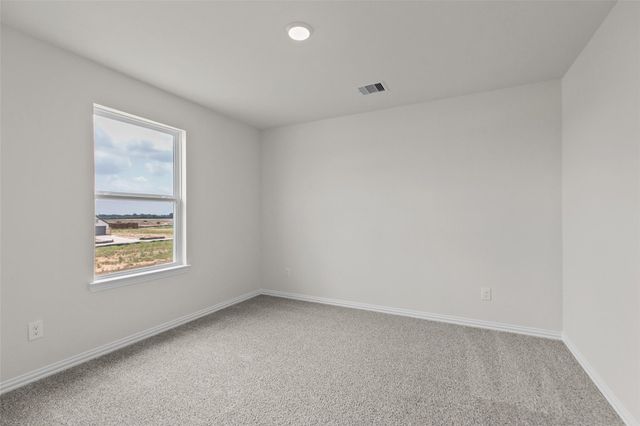 21722 Bluestem Fields Drive, Waller, TX 77484