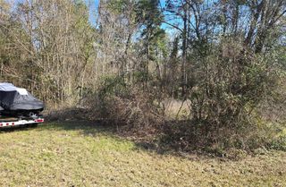 0 Plum Tree Circle, Livingston, TX 77351