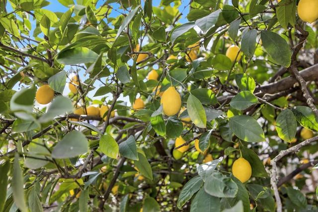 3720 Station St, Sacramento, CA 95827