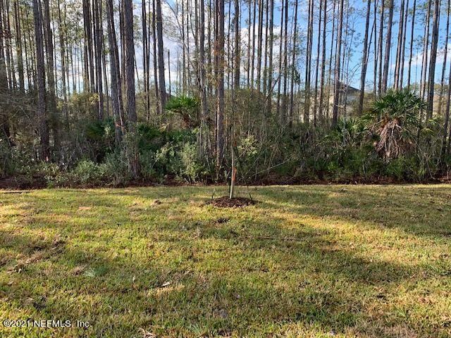 199 SCOTCH PEBBLE Drive, St. Johns, FL 32259