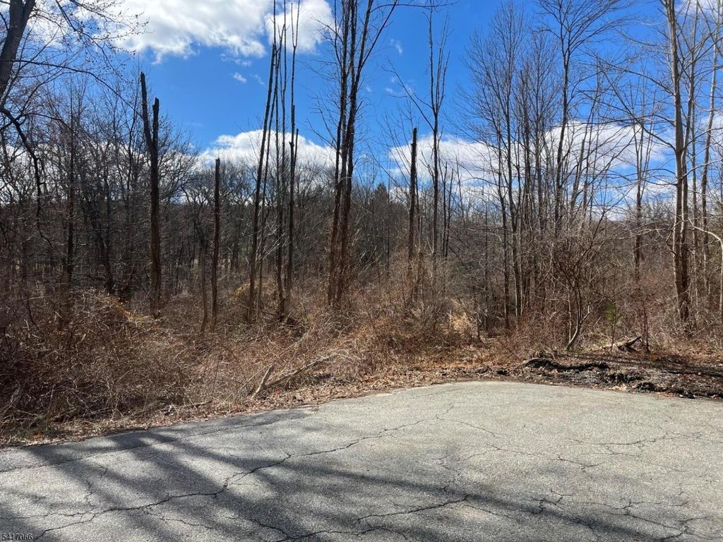 221 Old Center Grove Rd, Randolph Twp., NJ 07869 — exterior