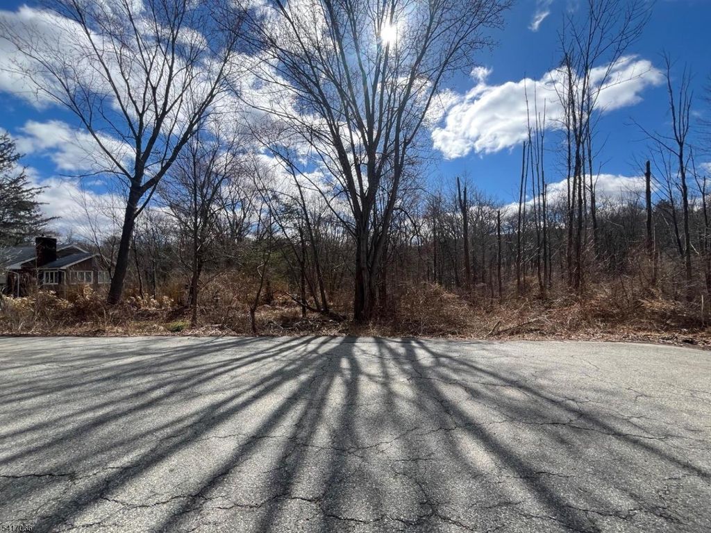 221 Old Center Grove Rd, Randolph Twp., NJ 07869 — photo 2
