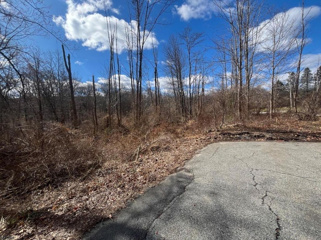 221 Old Center Grove Rd, Randolph Twp., NJ 07869 — photo 3