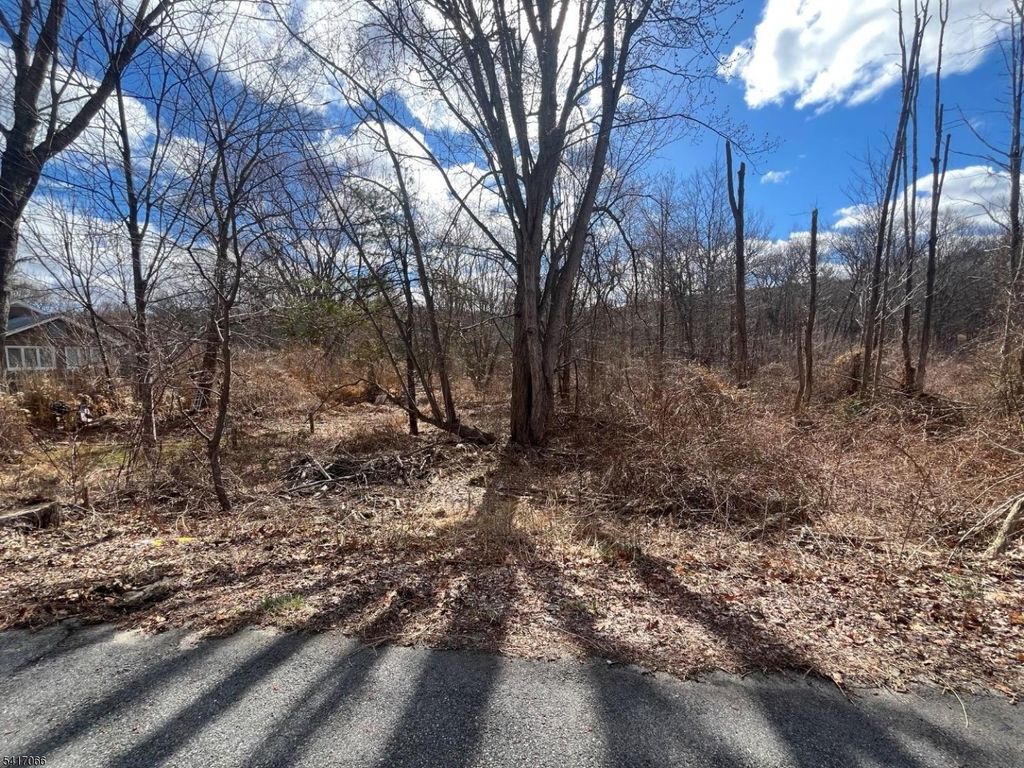 221 Old Center Grove Rd, Randolph Twp., NJ 07869 — photo 4