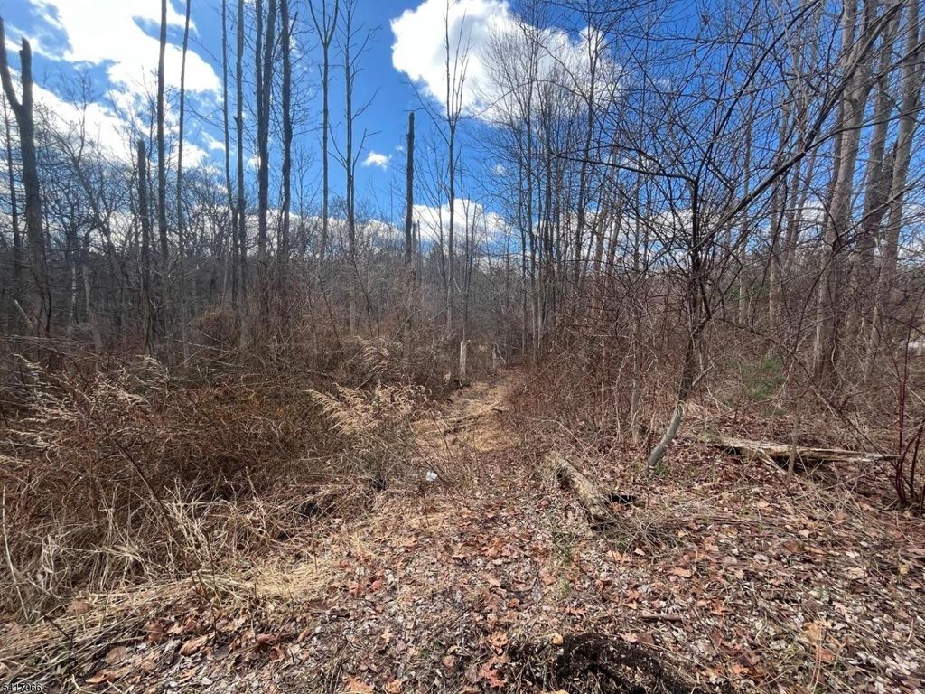 221 Old Center Grove Rd, Randolph Twp., NJ 07869 — photo 5