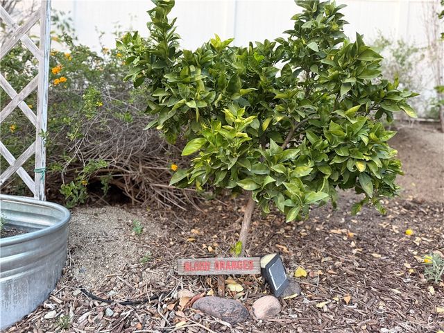 3070 Crestview Drive, Norco, CA 92860