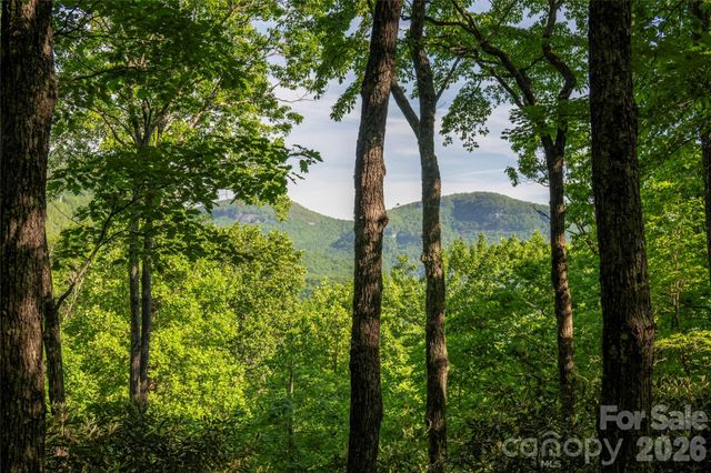 TM I 33 Toxaway Drive, Lake Toxaway, NC 28747
