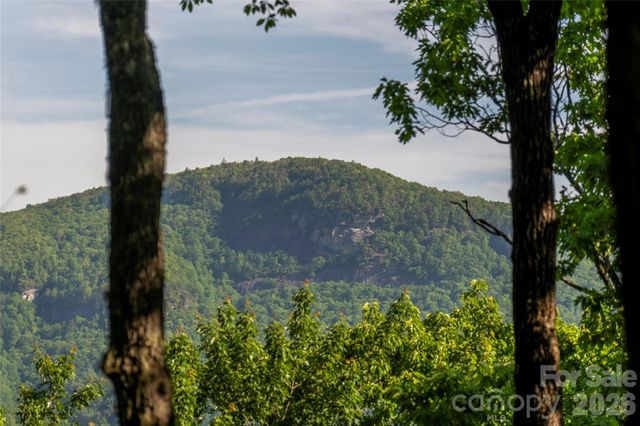 TM I 33 Toxaway Drive, Lake Toxaway, NC 28747
