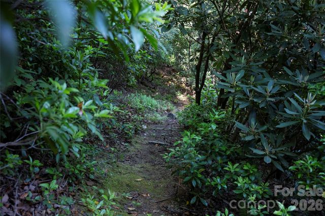 TM I 33 Toxaway Drive, Lake Toxaway, NC 28747