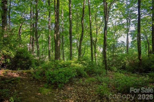 TM I 33 Toxaway Drive, Lake Toxaway, NC 28747