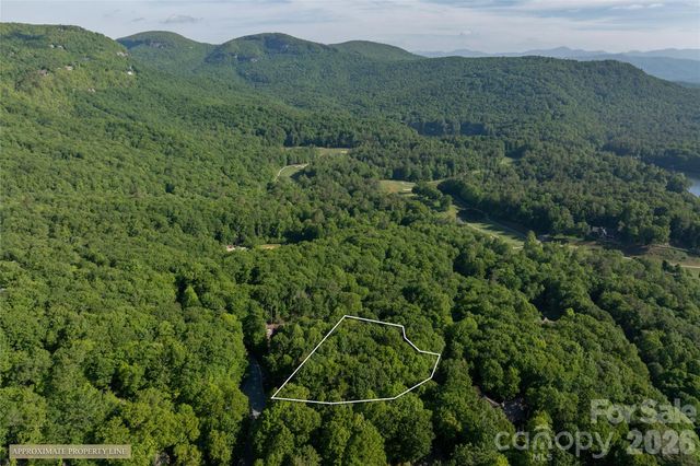 TM I 33 Toxaway Drive, Lake Toxaway, NC 28747