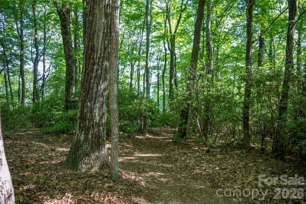 TM I 33 Toxaway Drive, Lake Toxaway, NC 28747