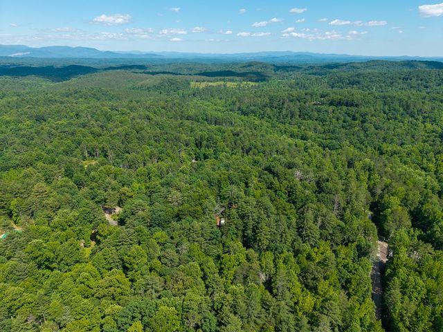 73 Jasmin Court, Ellijay, GA 30540