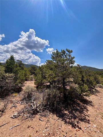 1134 Jorgulesco Road, Fort Garland, CO 81133