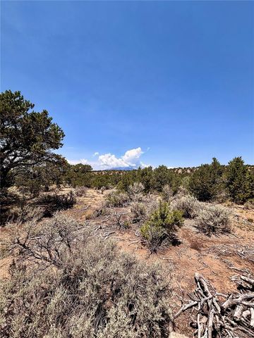 1134 Jorgulesco Road, Fort Garland, CO 81133