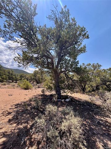 1134 Jorgulesco Road, Fort Garland, CO 81133