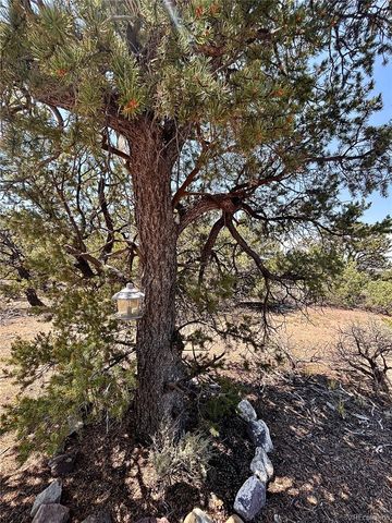 1134 Jorgulesco Road, Fort Garland, CO 81133