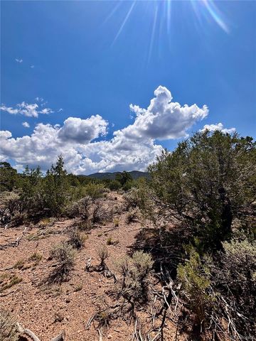 1134 Jorgulesco Road, Fort Garland, CO 81133