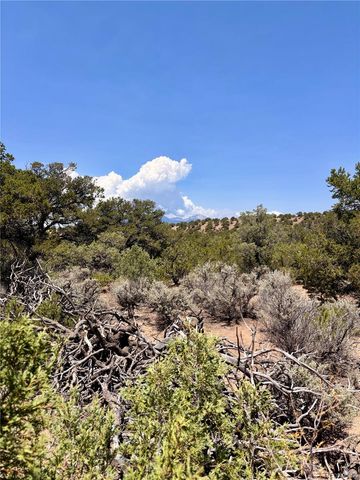 1134 Jorgulesco Road, Fort Garland, CO 81133