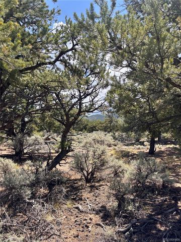 1134 Jorgulesco Road, Fort Garland, CO 81133