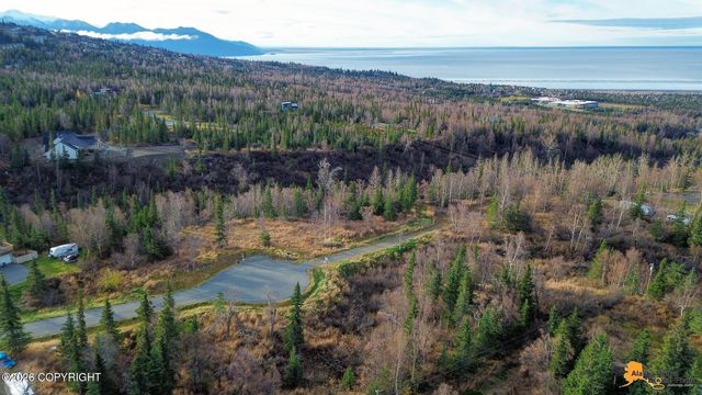 L5 Snow Flake Circle, Anchorage, AK 99516