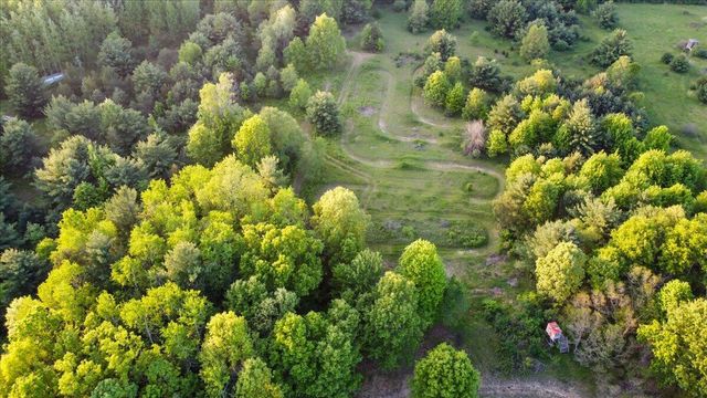 20200 W Lake Montcalm Road, Howard City, MI 49329
