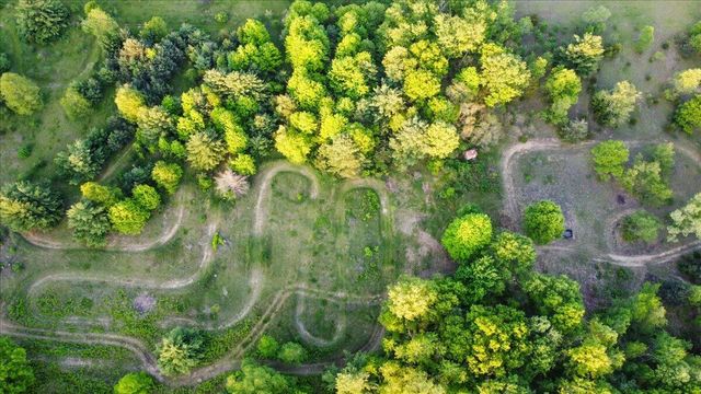 20200 W Lake Montcalm Road, Howard City, MI 49329