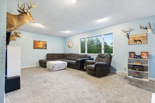 20200 W Lake Montcalm Road, Howard City, MI 49329
