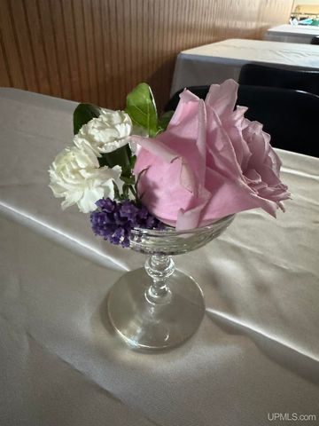 113 N 2nd Street, Ishpeming, MI 49849