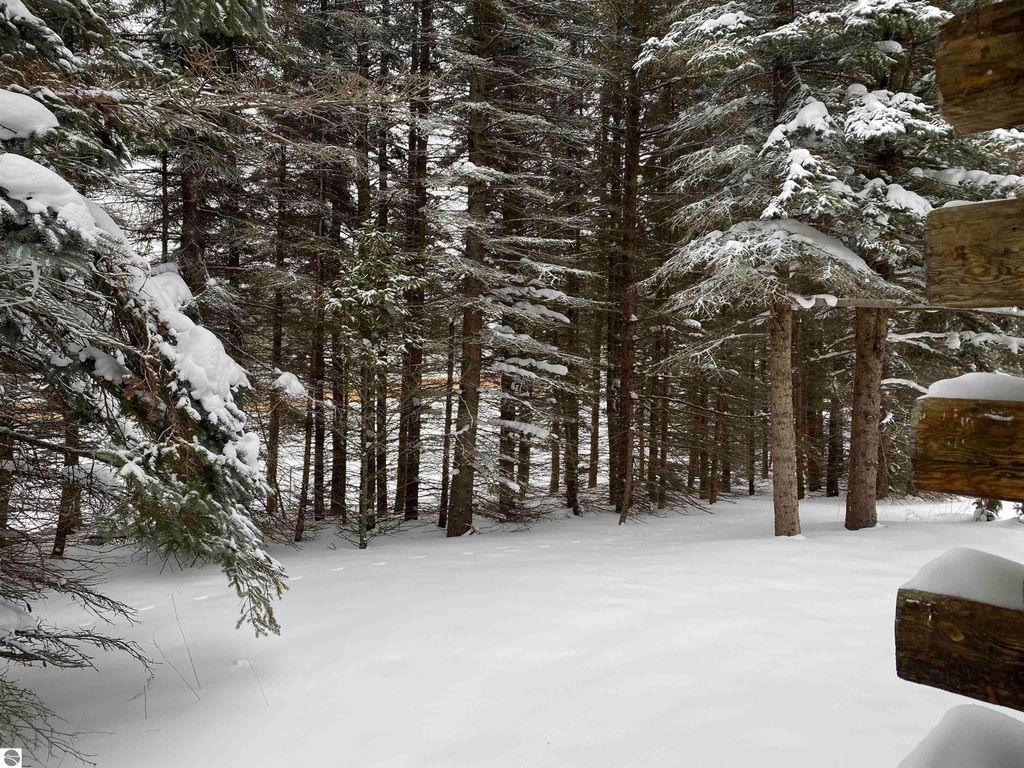 Image 27 of property listing at 3434 E 14 Road, Manton, MI 49663