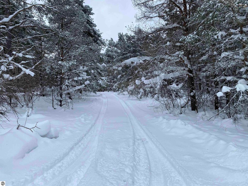 Image 29 of property listing at 3434 E 14 Road, Manton, MI 49663